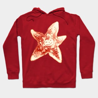 Little Star Hoodie